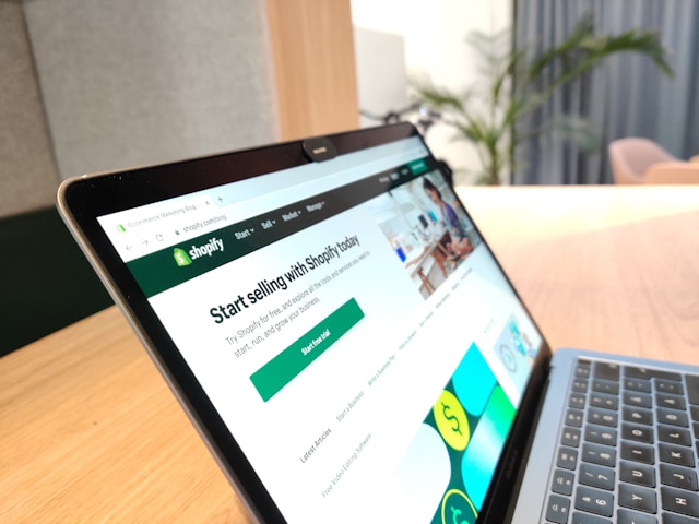Dropshipping business