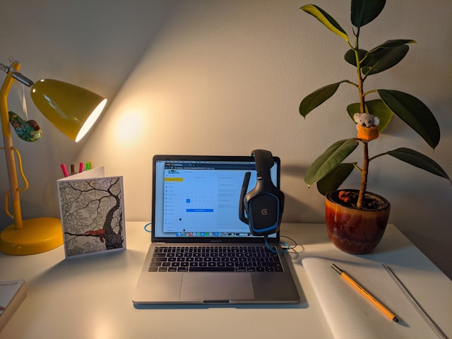 Home based entrepreneurship